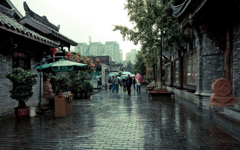 我修的可能是假仙