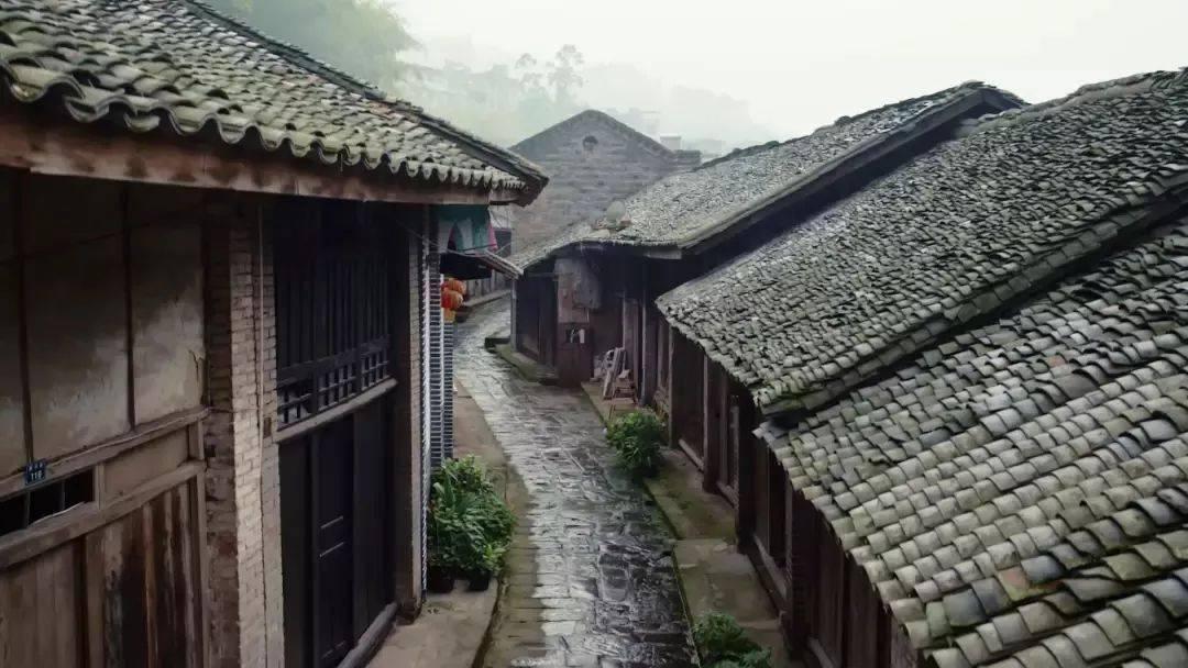 逃离废弃的卡车场